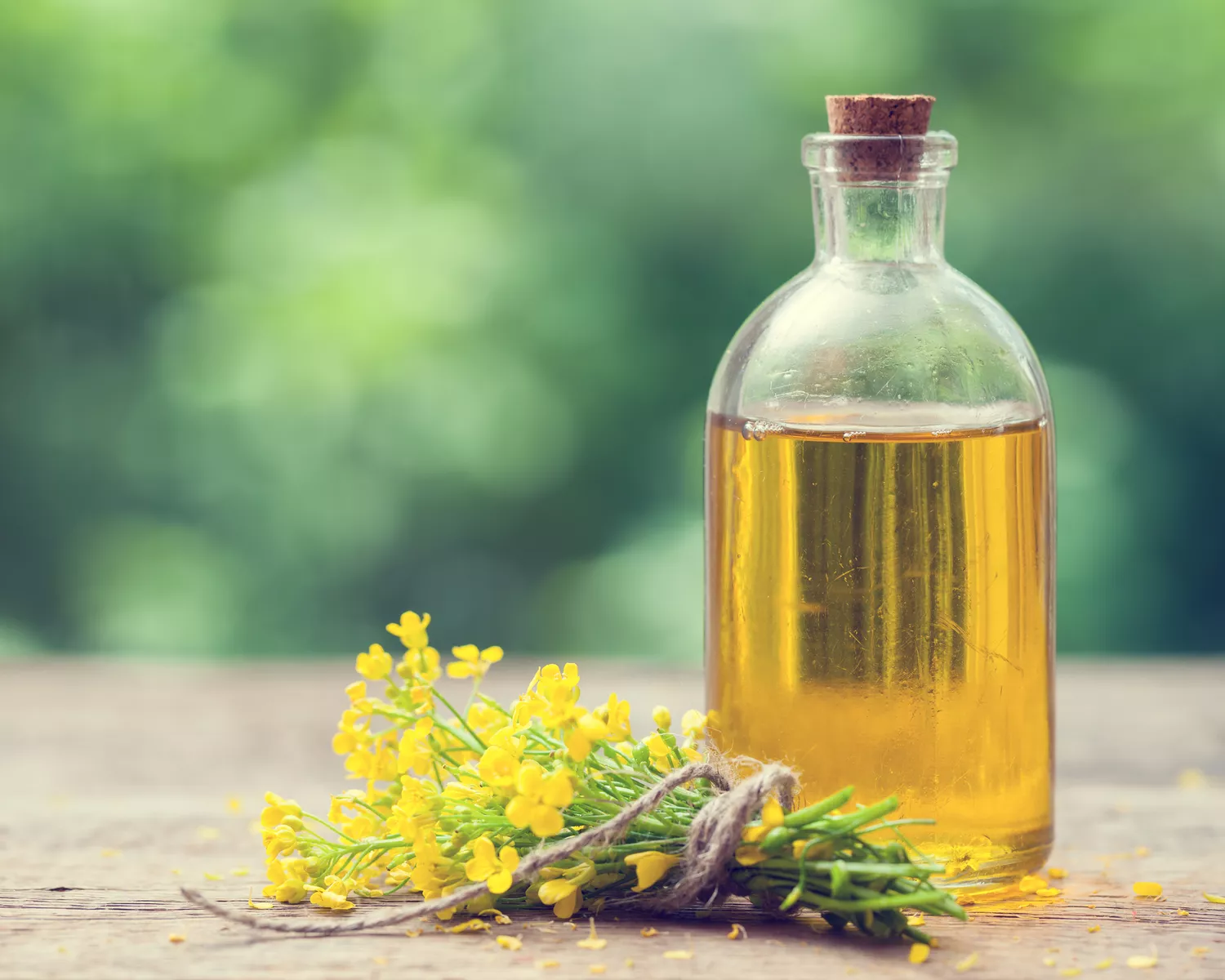 Best Substitutes for Canola Oil